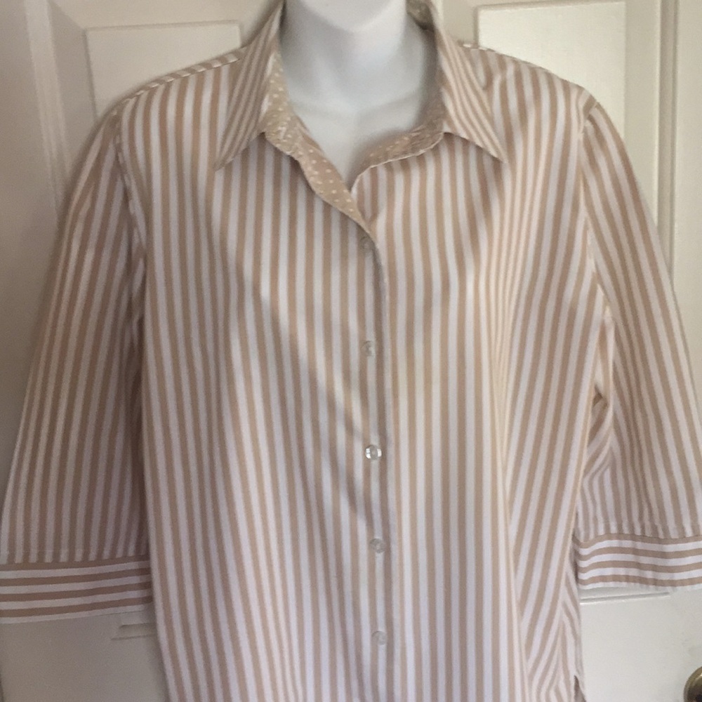 Alia Tan and Cream Color Strip Blouse